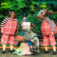 BWW Review: British Players' ALICE IN WONDERLAND: A TRADITIONAL BRITISH PANTO a…