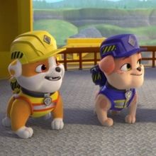 PAW PATROL and RUBBLE & CREW Renewed at Nickelodeon