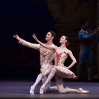 Tickets For NOBA's Final Main Stage Production Available Tomorrow Interview