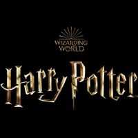 HARRY POTTER Television Series in the Works at Max Streaming Service