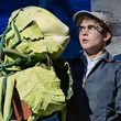 Joshua Bassett Says Live Theater Isnt His Thing After LITTLE SHOP Photo