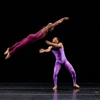 DBDT Kicks Off 45th Anniversary at Jacob's Pillow Dance Festival This Week