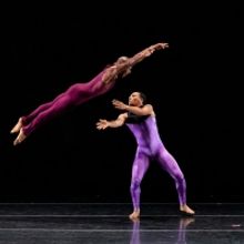 DBDT Kicks Off 45th Anniversary at Jacob's Pillow Dance Festival This Week