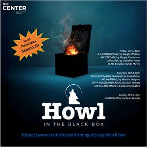 Howl Playwrights To Present HOWL IN THE BLACK BOX: RESIST! At Rhinebeck Center