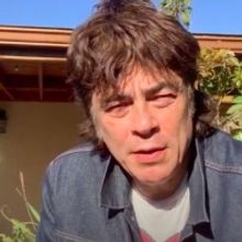 VIDEO: Benicio del Toro Announces Today's AFI Movie Club Pick ROCKY