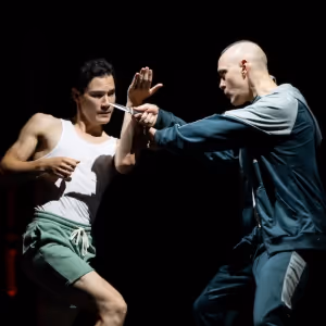 Review: HAPPY FALL: A QUEER STUNT SPECTACULAR an Exhilarating, Sensuous Performance