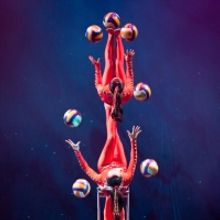 The Golden Dragon Acrobats Are Coming to Thousand Oaks