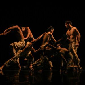 Review: FALL FOR DANCE FESTIVAL Celebrates Dance's Past and Present