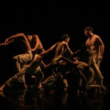 Review: FALL FOR DANCE FESTIVAL Celebrates Dance's Past and Present
