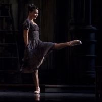 BWW Feature: PNB ARTISTIC DIRECTOR PETER BOAL ANNOUNCES THREE PROMOTIONS DURING…
