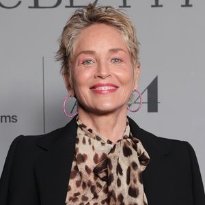 Sharon Stone Wants to Star in Gender-Swapped LA CAGE AUX FOLLES or Punk-Era MAME