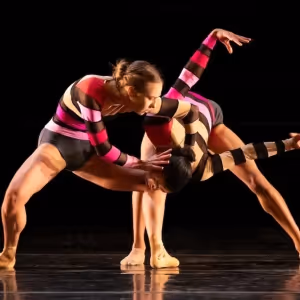 Review: SALT celebrates South African choreographers