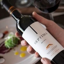  SEPTIMA MALBEC 2018 from Argentina