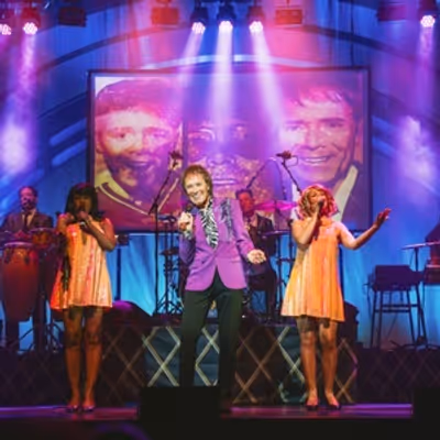 Review: THAT'LL BE THE DAY, London Palladium