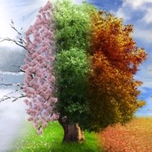 Long Beach Symphony Presents Vivaldi's Four Seasons and Mozart's Symphony No. 40 In G