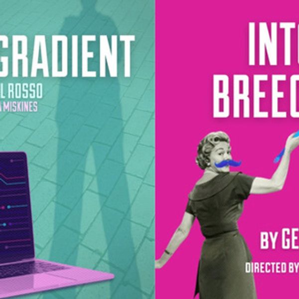 Second Generation Theatre to Present 26-27 Free Reading Series Photo
