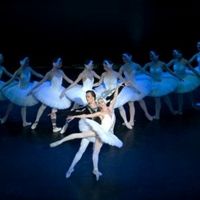 SWAN LAKE Will Glide Into Chester This January