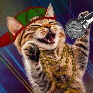 DJ WHITTINGTON’S KOOL KAT: A HIP-HOP PANTO Comes to Theatre Nova in December