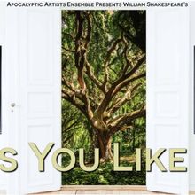 Apocalyptic Artists Ensemble's AS YOU LIKE IT Receives Funding Through NYC Women's…