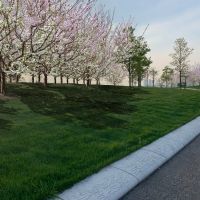 The Trust for Governors Island to Unveil The Open Orchard in Spring 2022