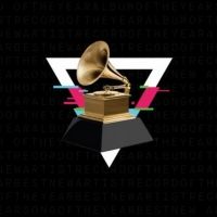 Billie Eilish, Lizzo Win Big at the 2020 GRAMMYs - See the Full List of Winners!