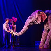 Review: WATER FOR ELEPHANTS Tour at Broadway In Chicago