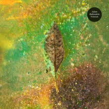 Adam Rubenstein Will Release FIREBREAK LP via Spartan Records