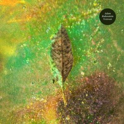 Adam Rubenstein Will Release FIREBREAK LP via Spartan Records