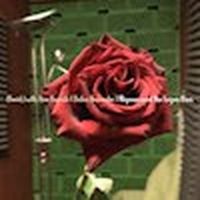 New Single From Bauhaus' David J