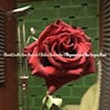 New Single From Bauhaus' David J