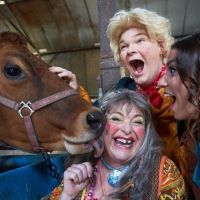 The Everyman Will Present JACK AND THE BEANSTALK Panto