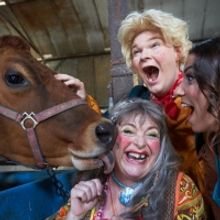 The Everyman Will Present JACK AND THE BEANSTALK Panto