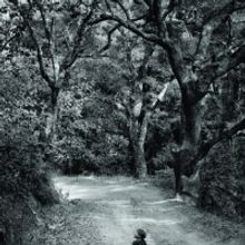 THE MEMORY OF THE TREES to Play at Theatre National