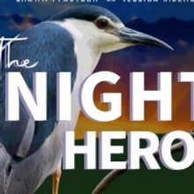 THE NIGHT HERON Joins Chicago Children's Theatre's Walkie Talkies Play Series