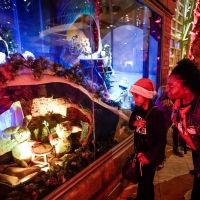 Rike's Holiday Windows Will Make 2020 Appearance At Schuster Center