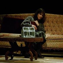 Review: EL ZOOLÓGICO DE CRISTAL at Teatro Juan Ruiz De Alarcón