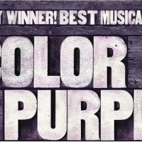 Society for the Performing Arts Presents THE COLOR PURPLE