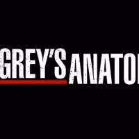 GREY'S ANATOMY Star Justin Chambers Announces Exit from Series
