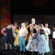 BWW Review: Fifty's Nostalgia Sparks Satire in Interact's HOT DOG DAZE