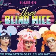 BWW Review: THE THREE BLIND MICE is Laugh-Out-Loud Fun at Cape Town's Fabulous Gate 6