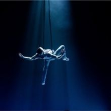 Sydney Fringe Cancels 2020 Festival and Reveals Plans For Global Digital Fringe This