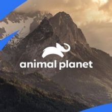 NORTH WOODS LAW Returns to Animal Planet Oct. 11