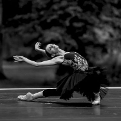 BWW Previews: INAUGURAL FALL GATHERING OF DANCE at Red Rose Farm
