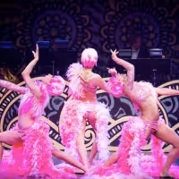 THROUGH THE LOOKING GLASS: THE BURLESQUE ALICE IN WONDERLAND to be Presented at The…