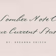 Student Blog: A Somber Note on Our Current State