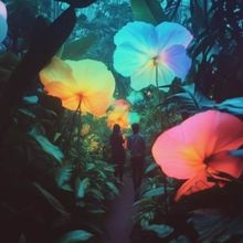 WONDRA to Bring a Multisensory Experience to Chicagoland’s Woodfield Mall This Sept