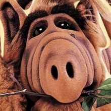 Ryan Reynolds to Revive ALF For Maximum Effort Channel