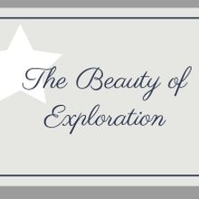 Student Blog: The Beauty of Exploration