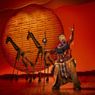 Previews: DISNEY'S THE LION KING at Theater Im Prater