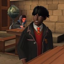 HARRY POTTER AND THE CURSED CHILD & HARRY POTTER: HOGWARTS MYSTERY Partner for…